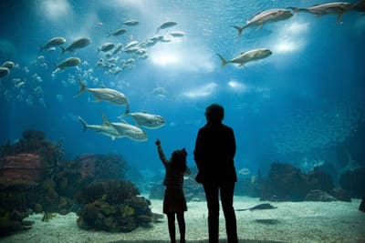 Oceanário de Lisboa